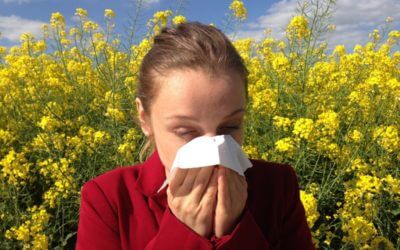 Allergies And Clean Air